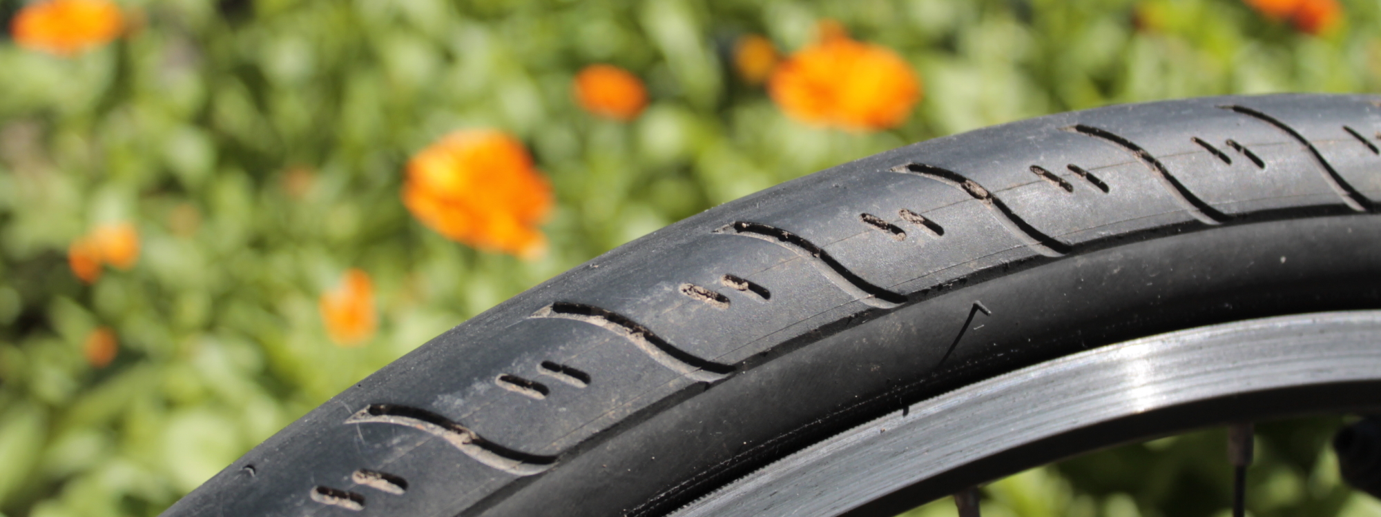 About us at Greenfinch and Robin