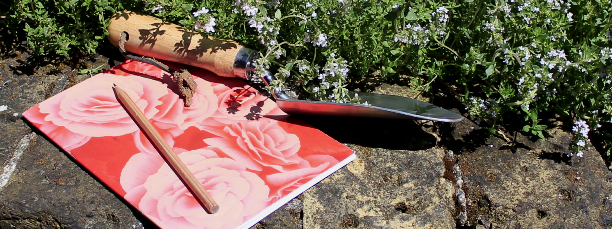 About us at Greenfinch and Robin